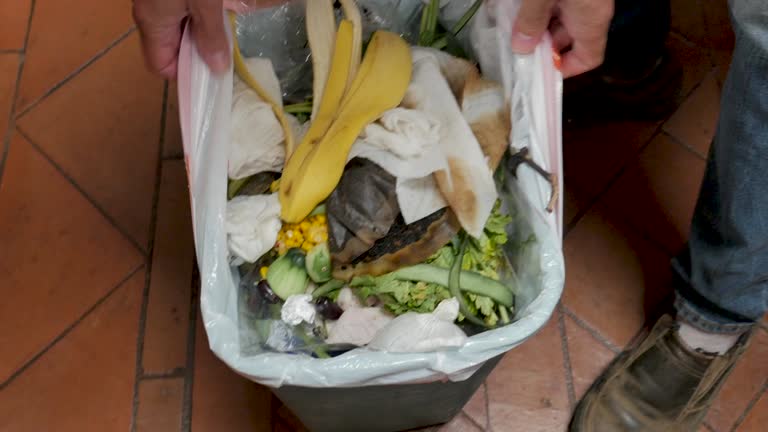 Best Construction Debris Removal  in Alexandria, MN