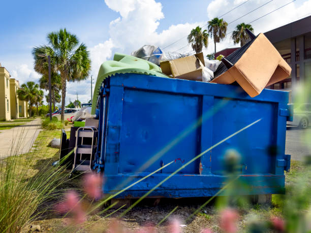 Best Electronics and E-Waste Disposal  in Alexandria, MN